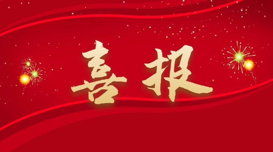 武汉文林科技顺利通过湖北省第五批专精特新中小企业复核